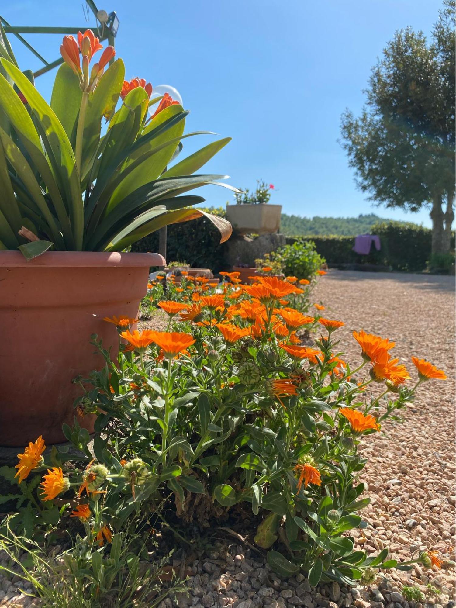 Casa Vacanze Podere San Giusto 볼테라 외부 사진