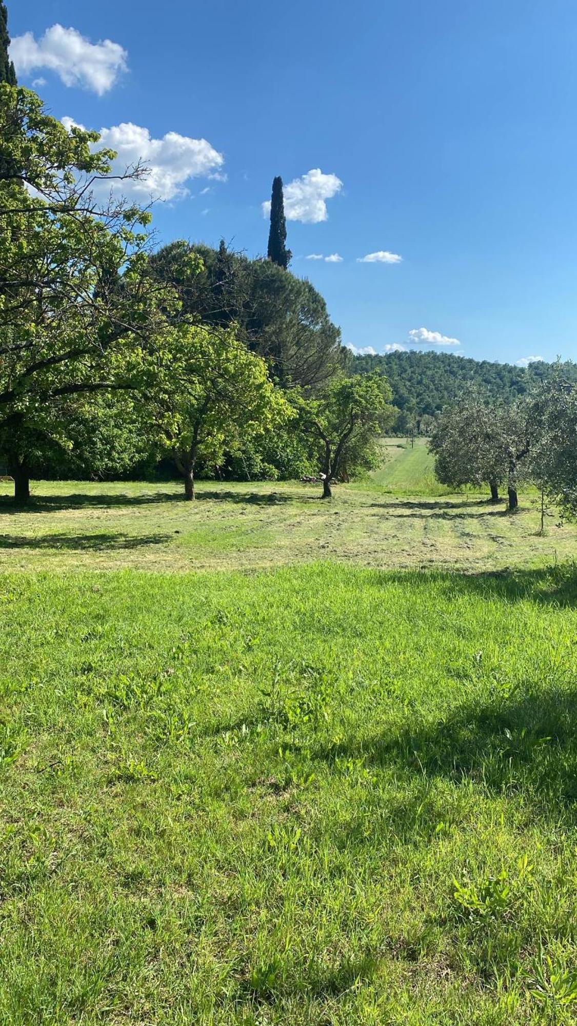 Casa Vacanze Podere San Giusto 볼테라 외부 사진