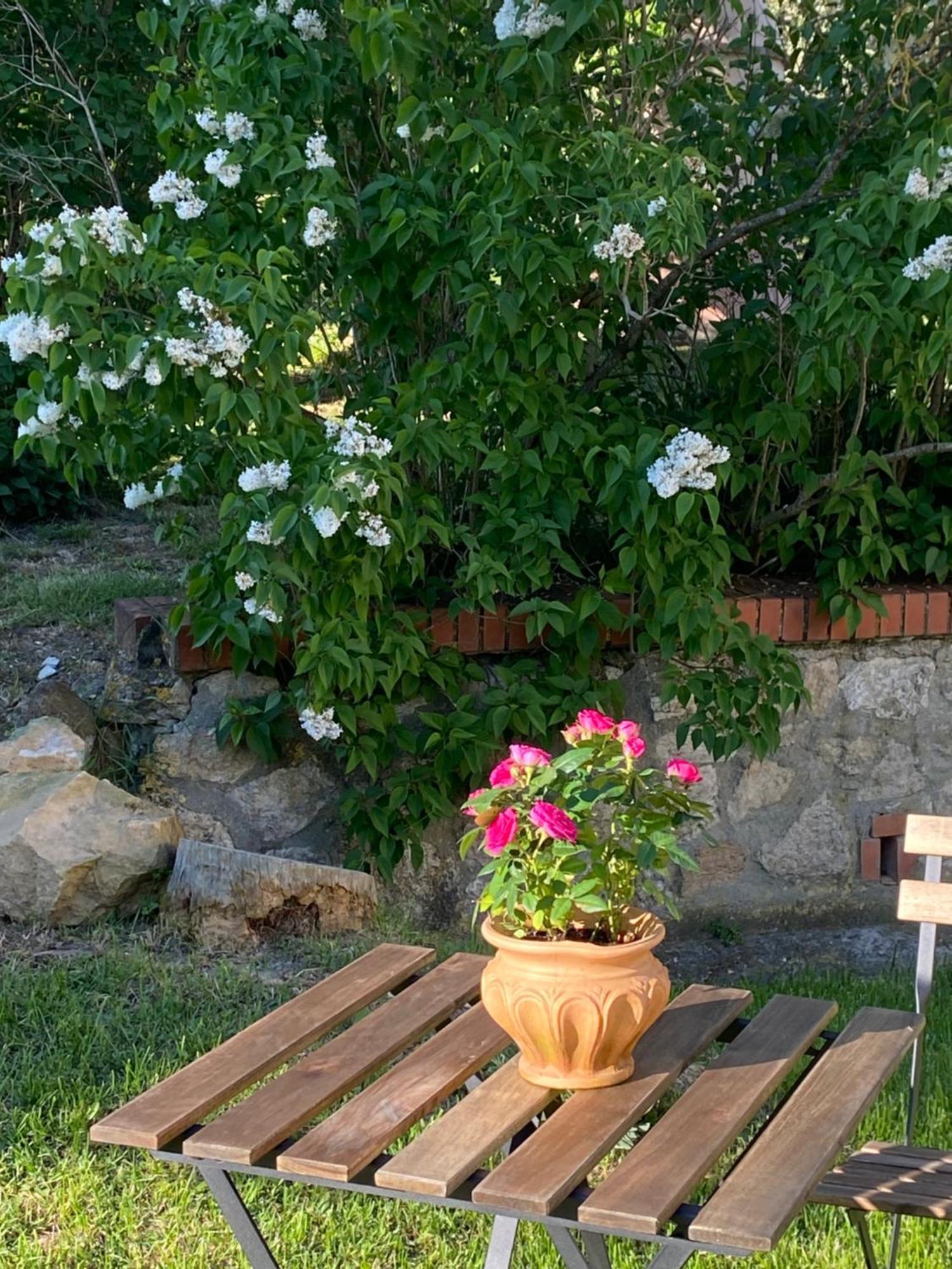 Casa Vacanze Podere San Giusto 볼테라 외부 사진